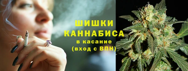 2c-b Горнозаводск