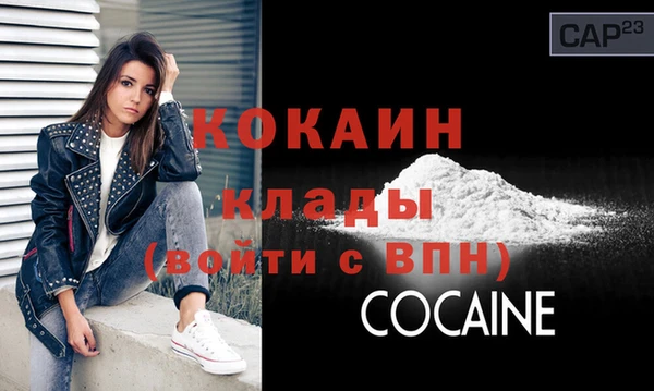 PSILOCYBIN Вяземский