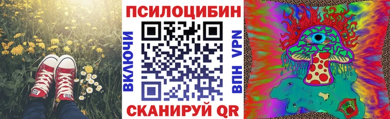 Псилоцибиновые грибы Cubensis  Назрань 